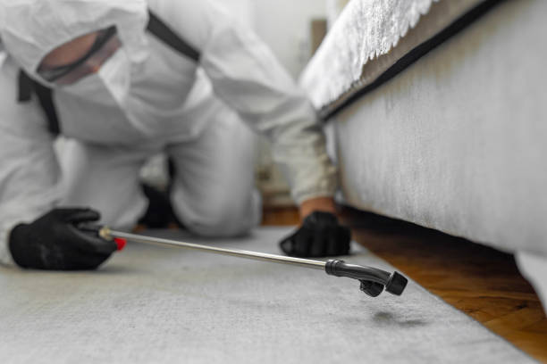 Professional Bed Bug Control technician working in Erie, PA