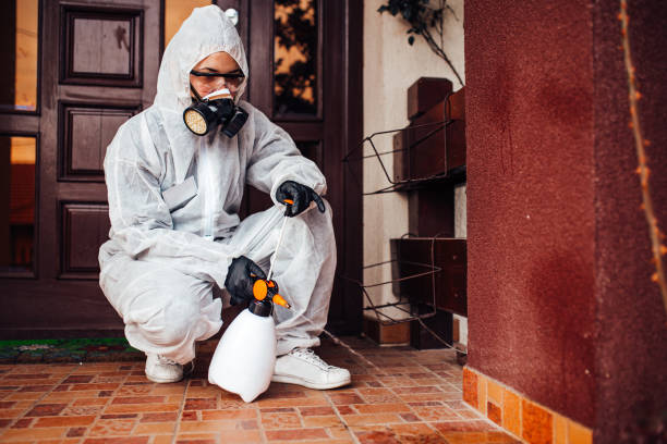 Reliable Bed Bug Control contractor in Erie, PA by Nex Pest Control